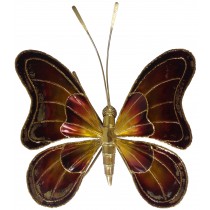 Large Belgian Brass Butterfly Sconce